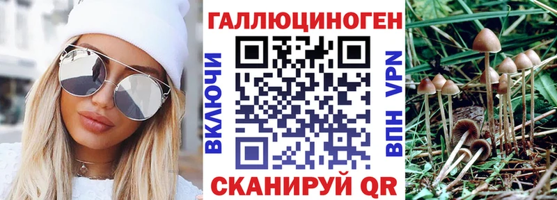 Галлюциногенные грибы MAGIC MUSHROOMS наркота Петров Вал